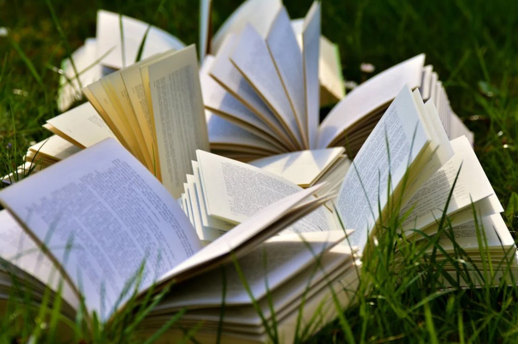 SecondLife! Dai una nuova casa ai tuoi libri!