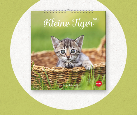 Postkartenkalender & Lesezeichen